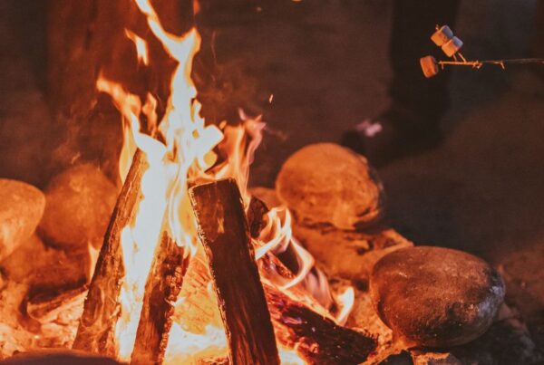 Breeze Holiday Parks - Carnarvon Gorge family sitting around a campfire toasting marshmallows
