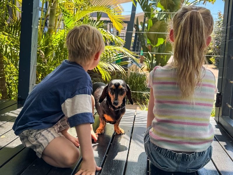 Breeze Holiday Parks - Busselton is dog friendly
