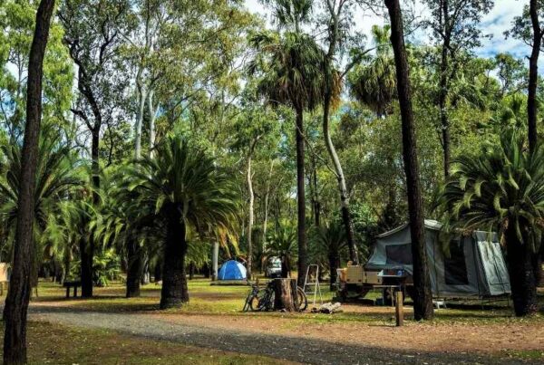 Breeze Holiday Parks unpowered sites