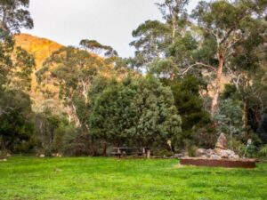 Picnic at the Halls Gap Botanic Gardens