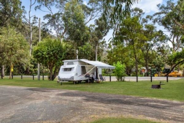 Unpowered site, grass camping sites at Breeze Holiday Parks - Halls Gap