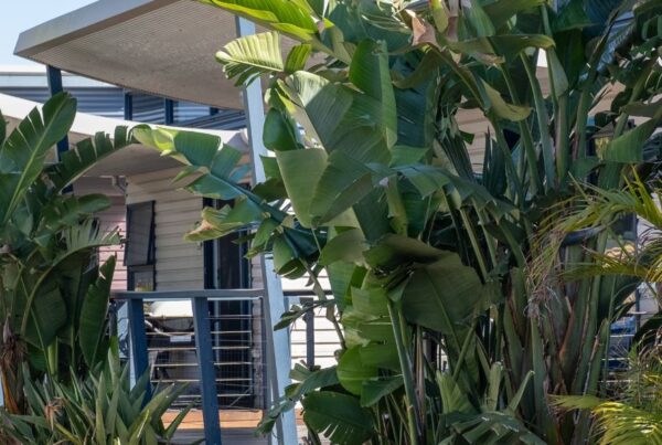 BIG4 Breeze Holiday Parks - Busselton Cabin Views
