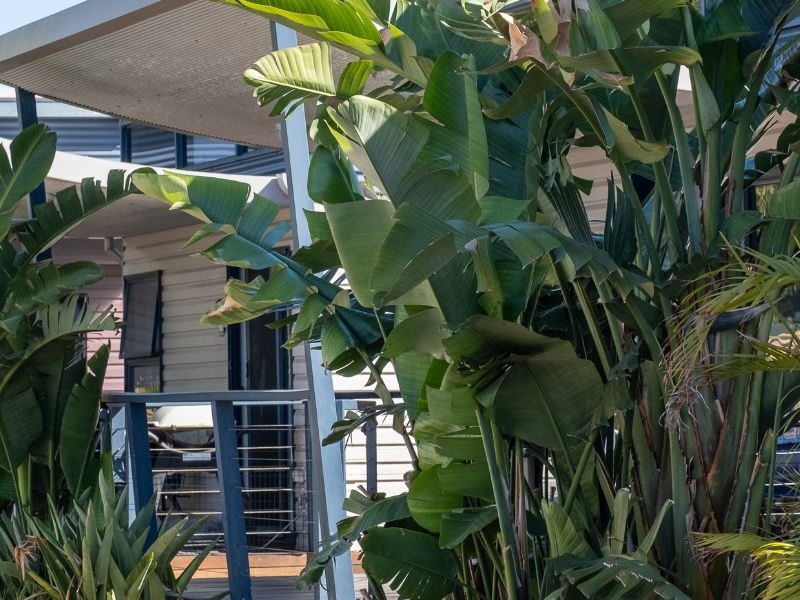 BIG4 Breeze Holiday Parks - Busselton Cabin Views