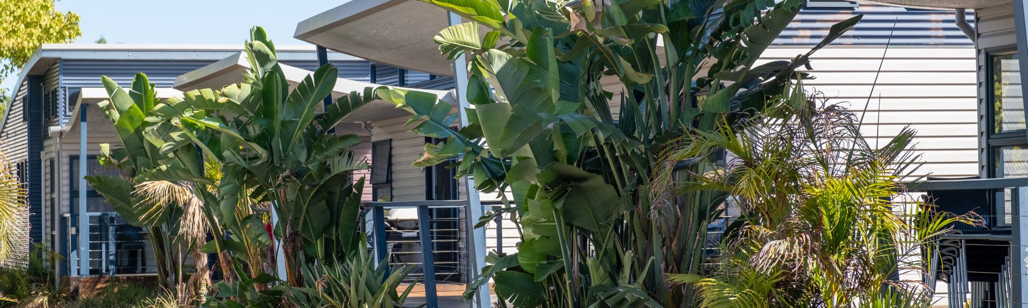 Camping vs Cabins: Which Breeze Holiday Park Stay Suits You Best?