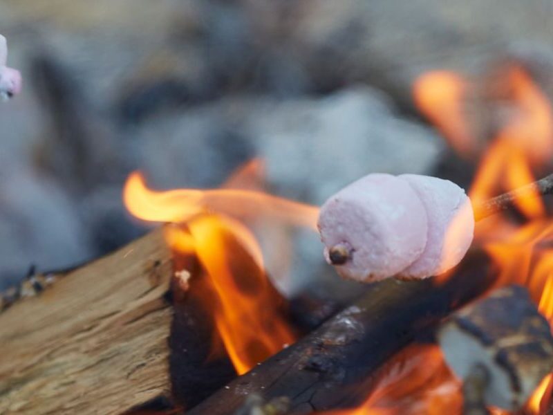 Breeze Holiday Parks Campfire Cooking
