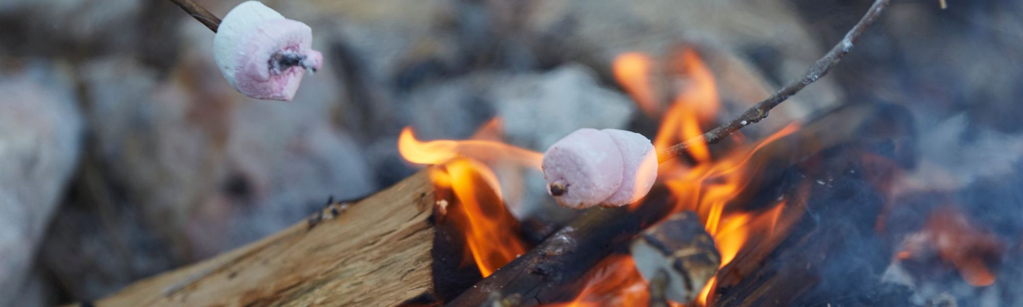 Cooking Under the Stars: Easy and Delicious Camp Recipes