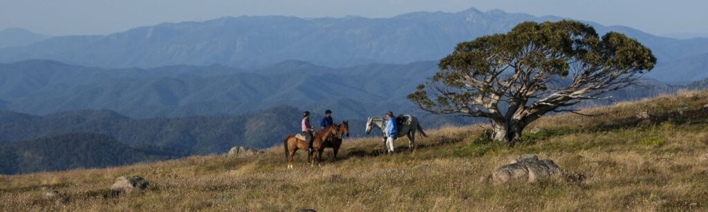 Group enjoying a horse ride in Victoria's high country, Stay 3 Pay 2