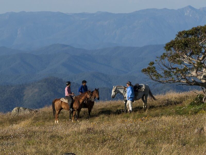 Group enjoying a horse ride in Victoria's high country, Stay 3 Pay 2
