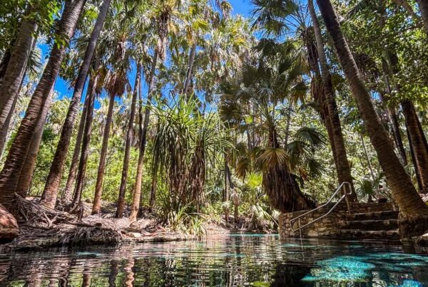 Why the Top End's Dry Season is the Best Time to Visit Katherine