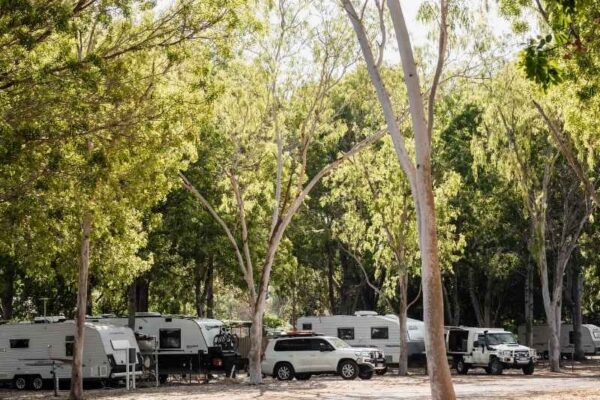 Breeze Holiday Parks - Katherine Unpowered Camping Site, Caravan Park, Motorhomes and Caravans under the shady trees