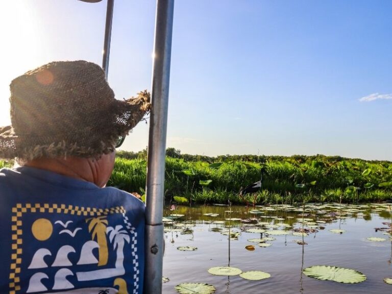 Corroboree Billabong Wetland Tours