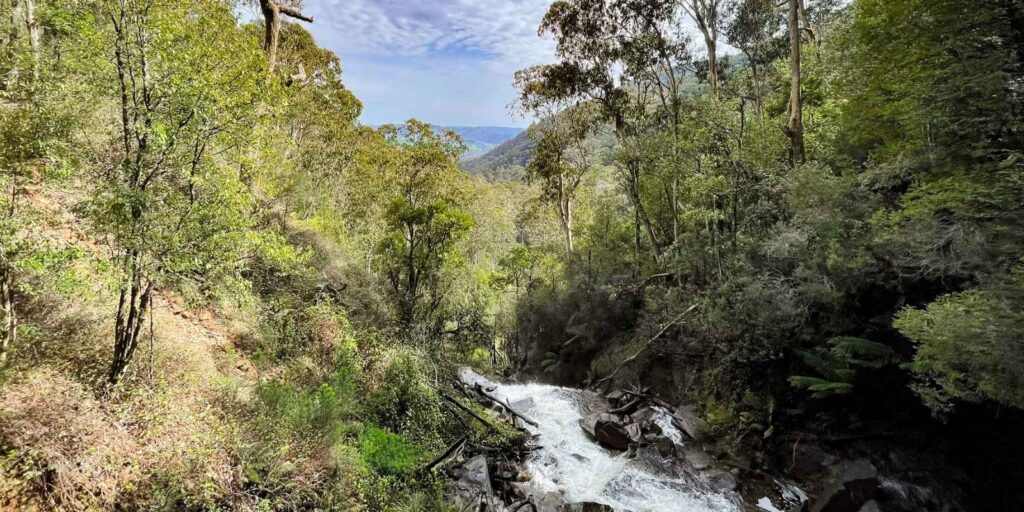 Discover Eildon: Your Gateway to Victoria’s High Country