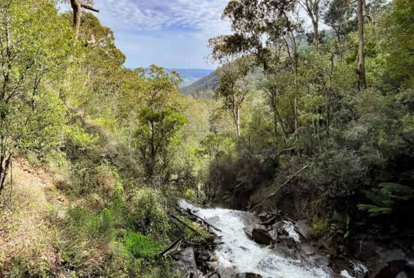 Discover Eildon: Your Gateway to Victoria’s High Country