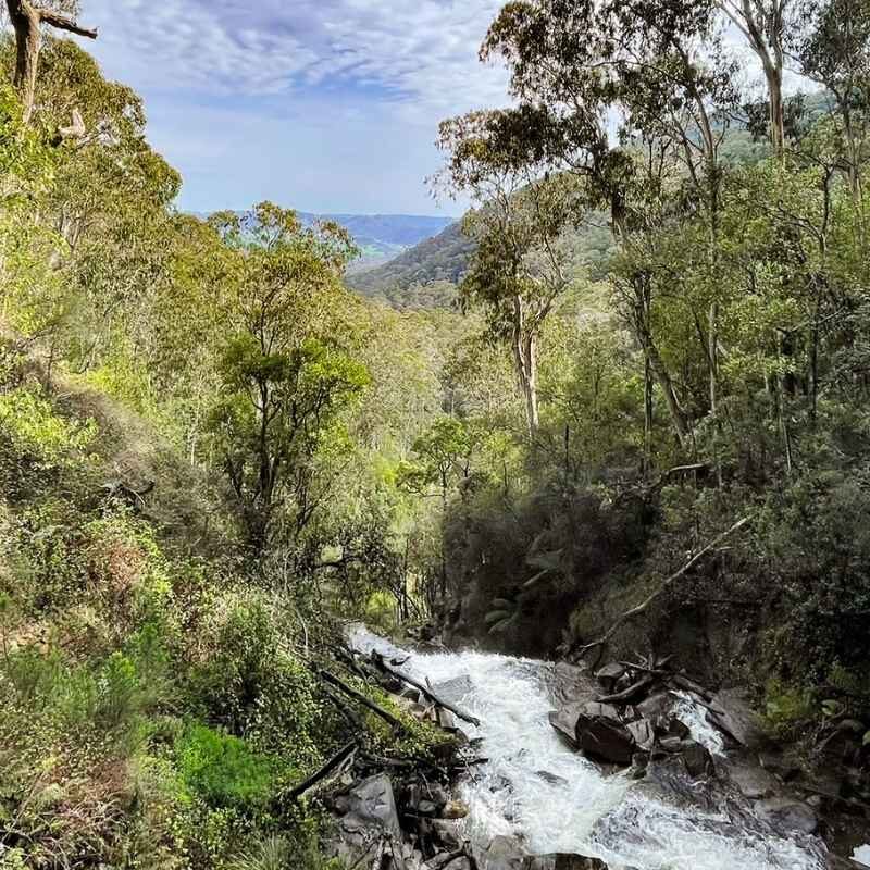 Discover Eildon: Your Gateway to Victoria’s High Country