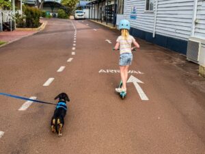 Dog-friendly fun at Breeze Holiday Parks