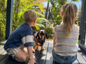Dog-friendly Cabins at BIG4 Breeze Holiday Parks - Busselton
