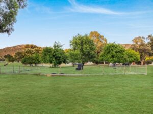 Off-leash dog area at Breeze Holiday Parks - Grampians