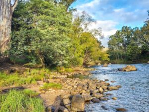 The Ultimate Melbourne to Eildon Road Trip Itinerary