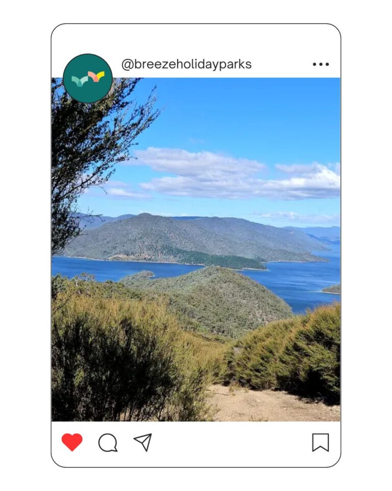 Eildon Merlo Lookout