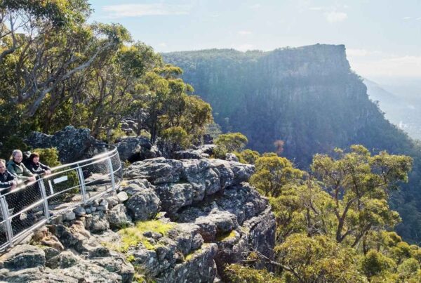 Reconnecting with Nature in The Grampians