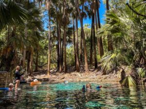 Enjoy the thermal Mataranka Springs in the Top End