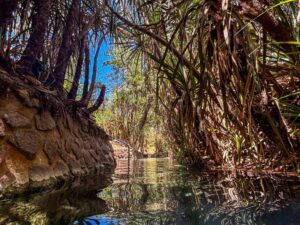 Katherine Hot Springs with Kids: Everything You Need to Know