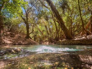 Katherine Hot Springs, how to get there