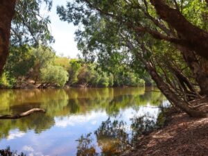 River views at Breeze Holiday Parks - Mary River