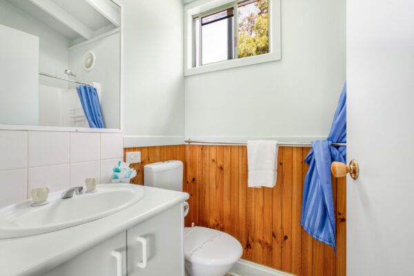 halls-gap-deluxe-park-cabin-bathroom